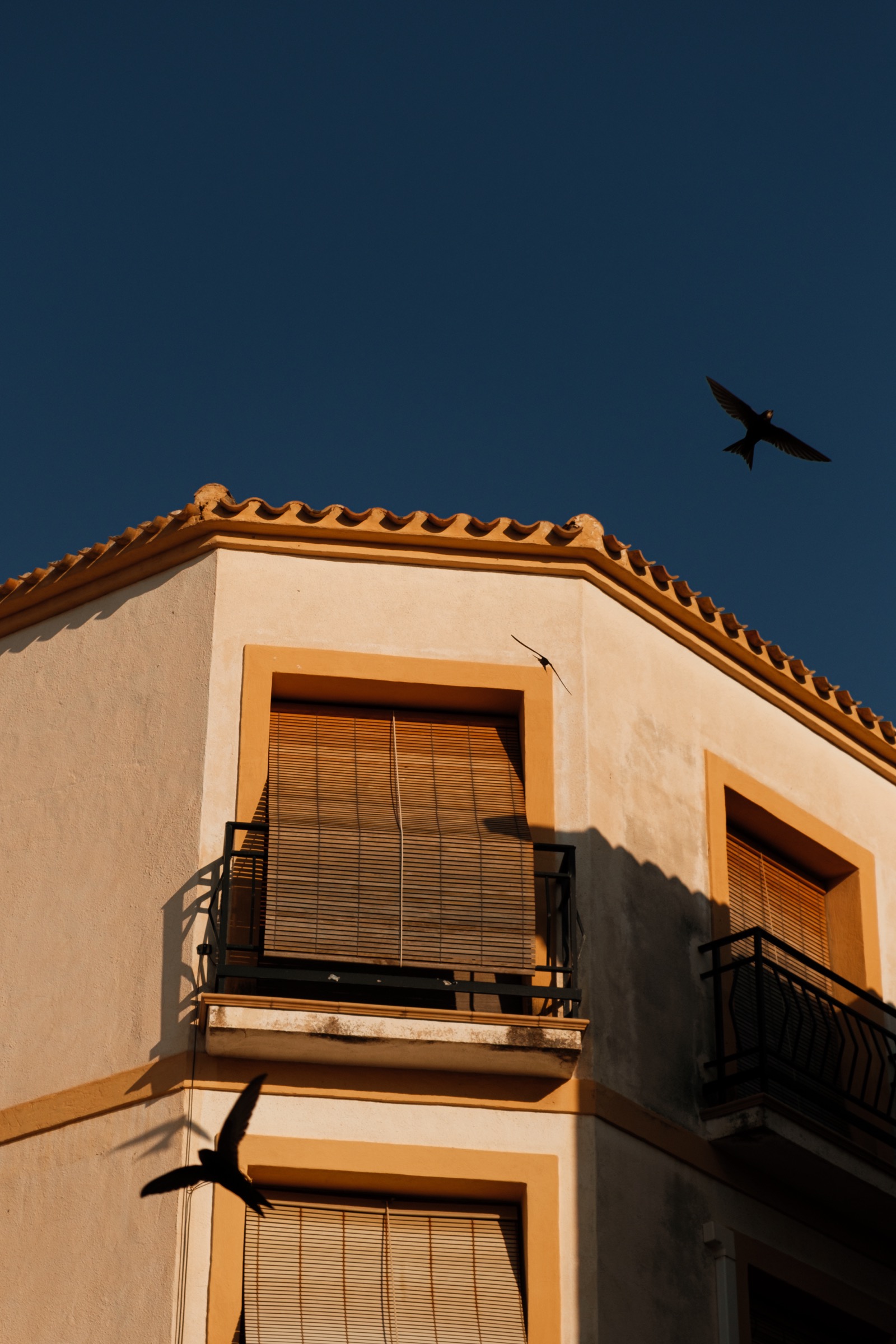 Jávea — old town rooftops