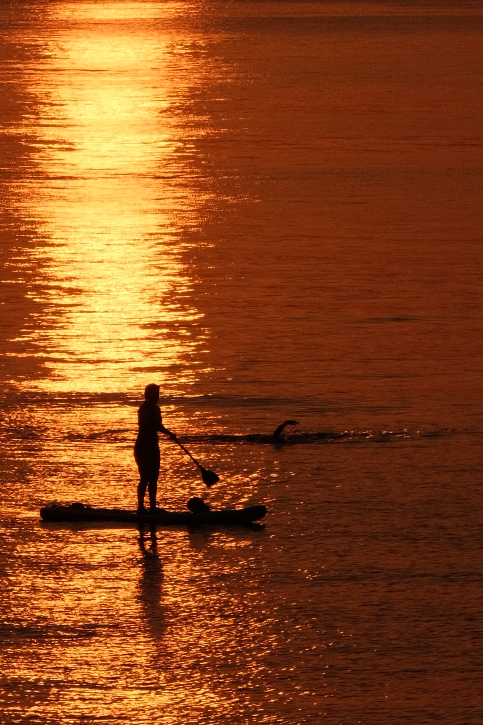Jávea — paddleboarding at golden hour