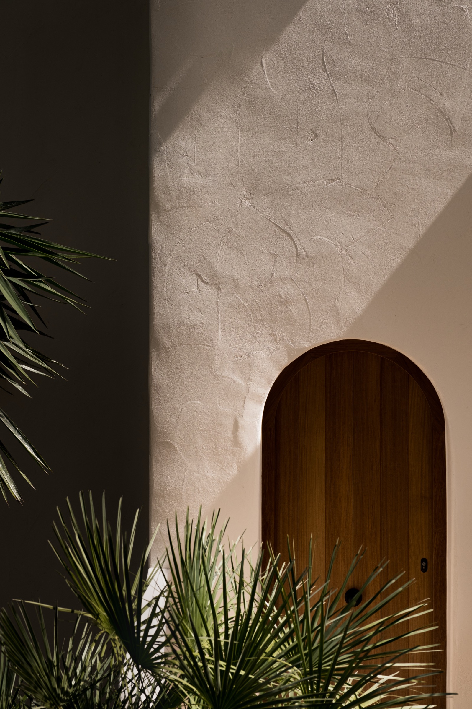 Arched wood door