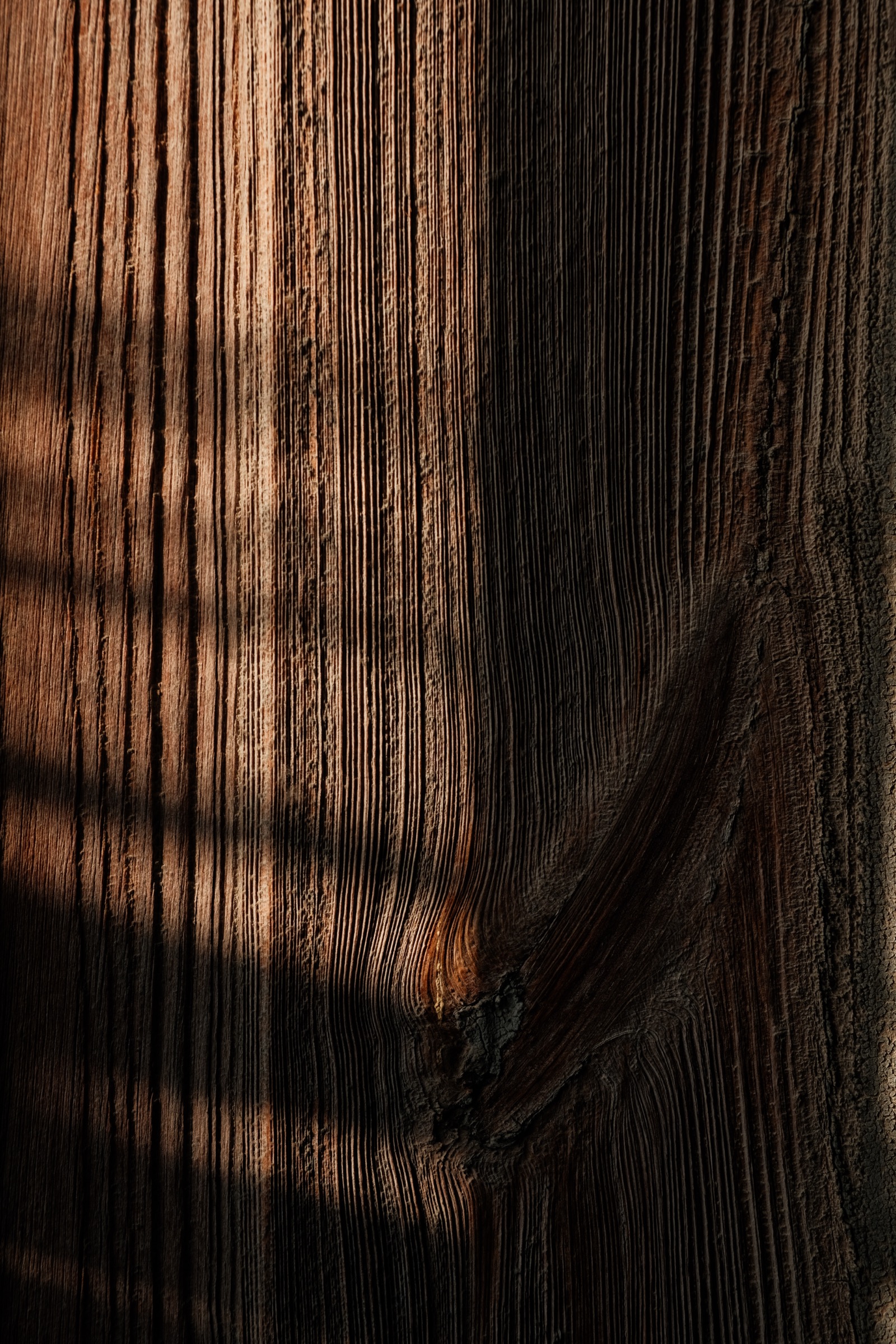 Wood grain detail