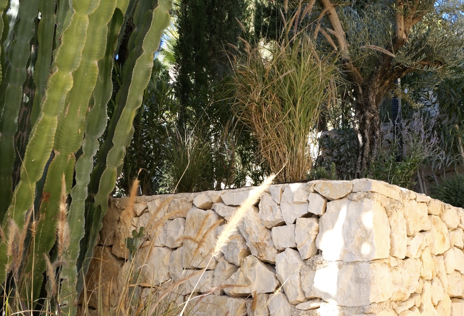 Ferpas nursery