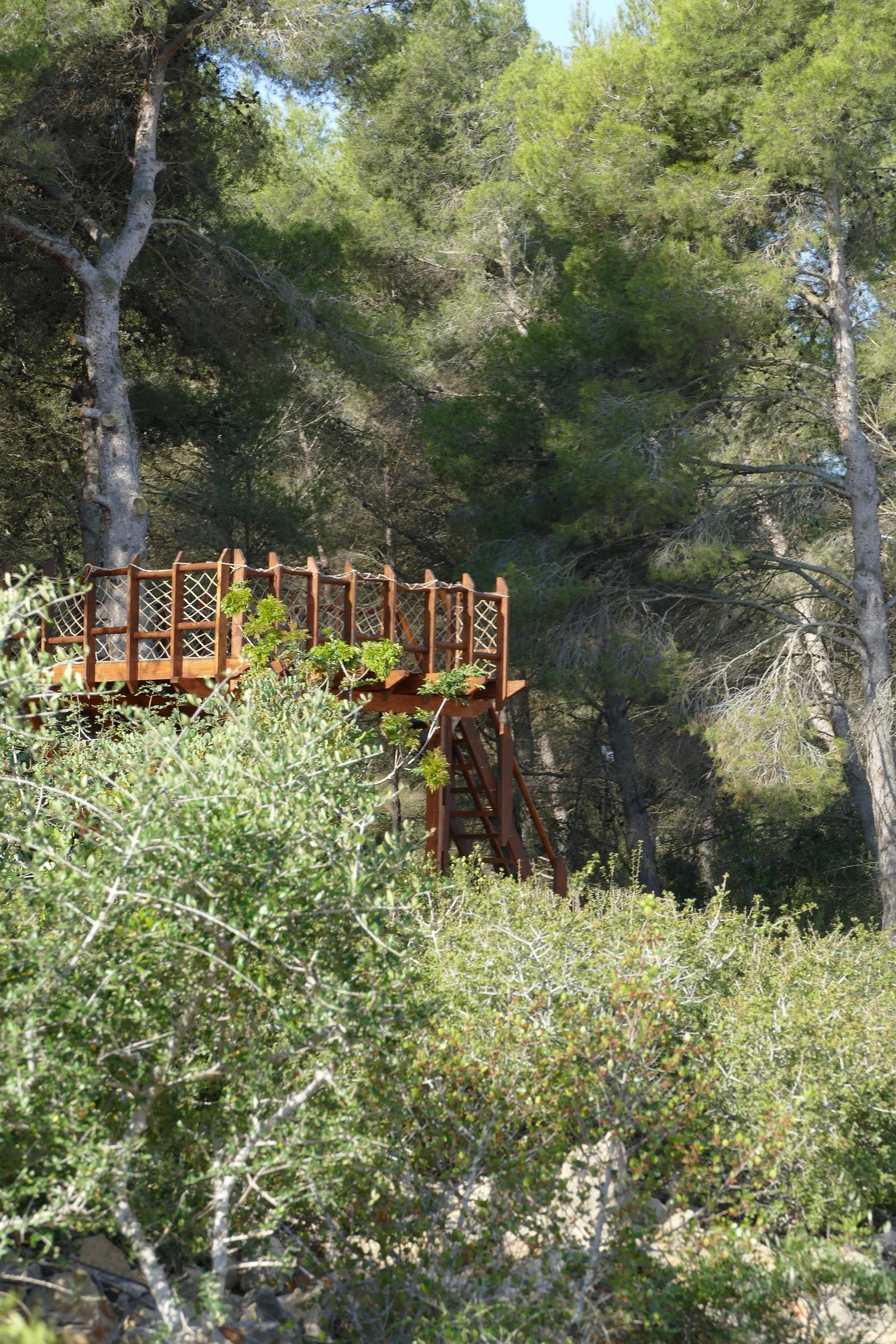 Miel Montgo beekeeping