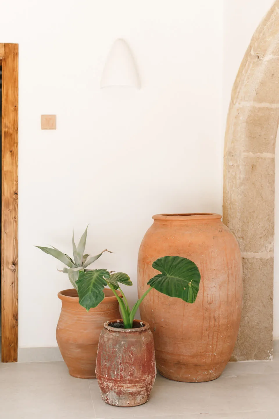 Casa Ribono